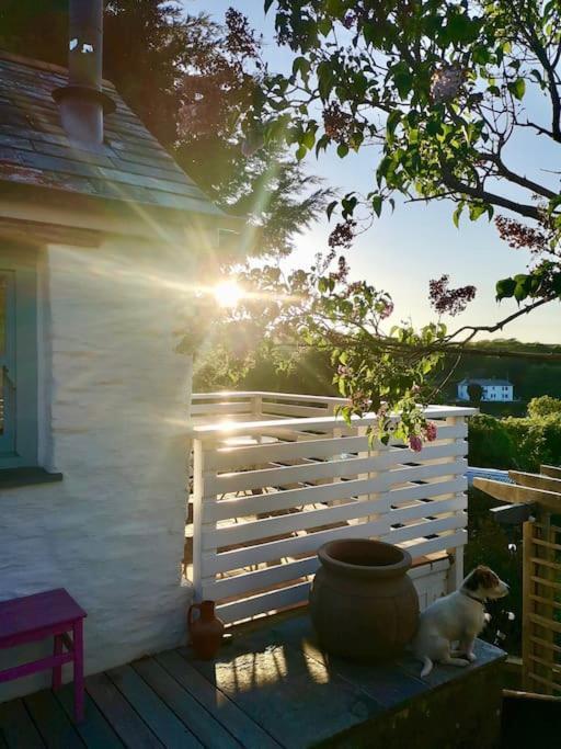 The Little Post House. A Perfect Village Retreat, With Stunning Views. Boscastle Exterior foto